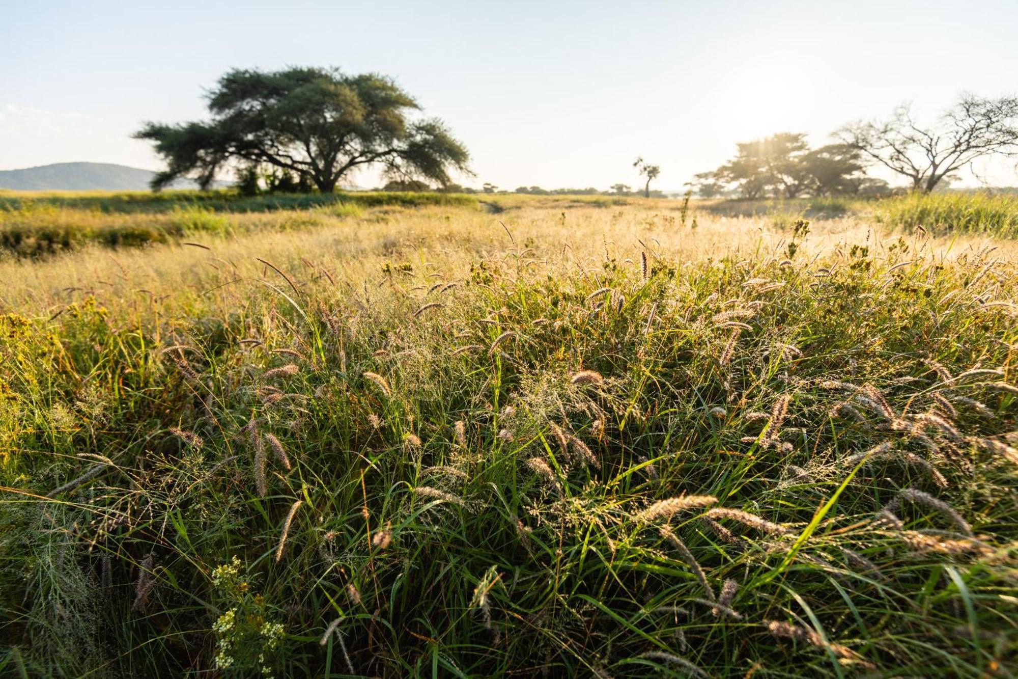 Frans Indongo Lodge Otjiwarongo Kültér fotó