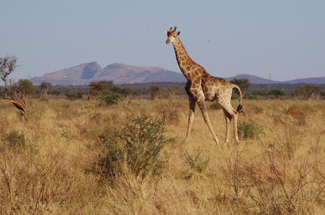 Frans Indongo Lodge Otjiwarongo Kültér fotó